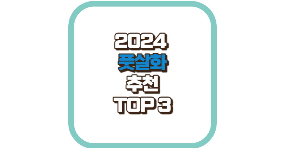 풋살화 추천 TOP 3 2024