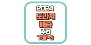 도라지 배즙 추천 TOP3 2024